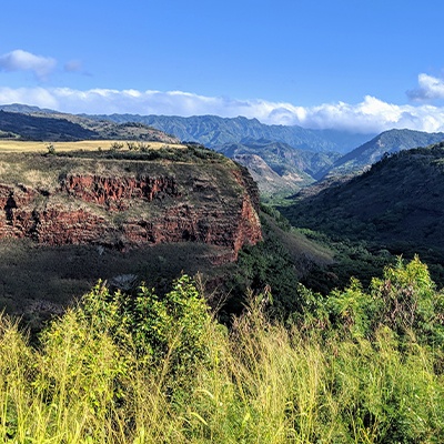 Sunny day, green shrubbery overlooking the canyon on a beautiful day