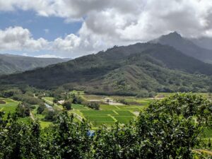 Hanalei Valley and the Taro fields
