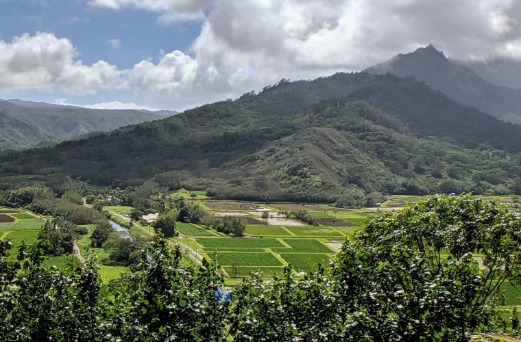 Ross kauai clearance hours