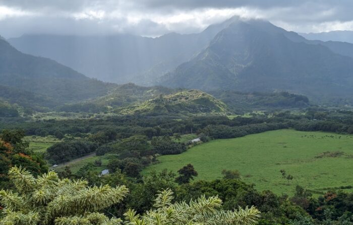 Kauai Cruise Ship Tours | Kauai Tour Guy