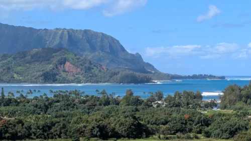A lush green landscape with trees in the foreground, a blue bay and coastline in the middle, and Waimea Canyon rising under a partly cloudy sky—an unforgettable scene perfect for Kauai excursions and custom tours.